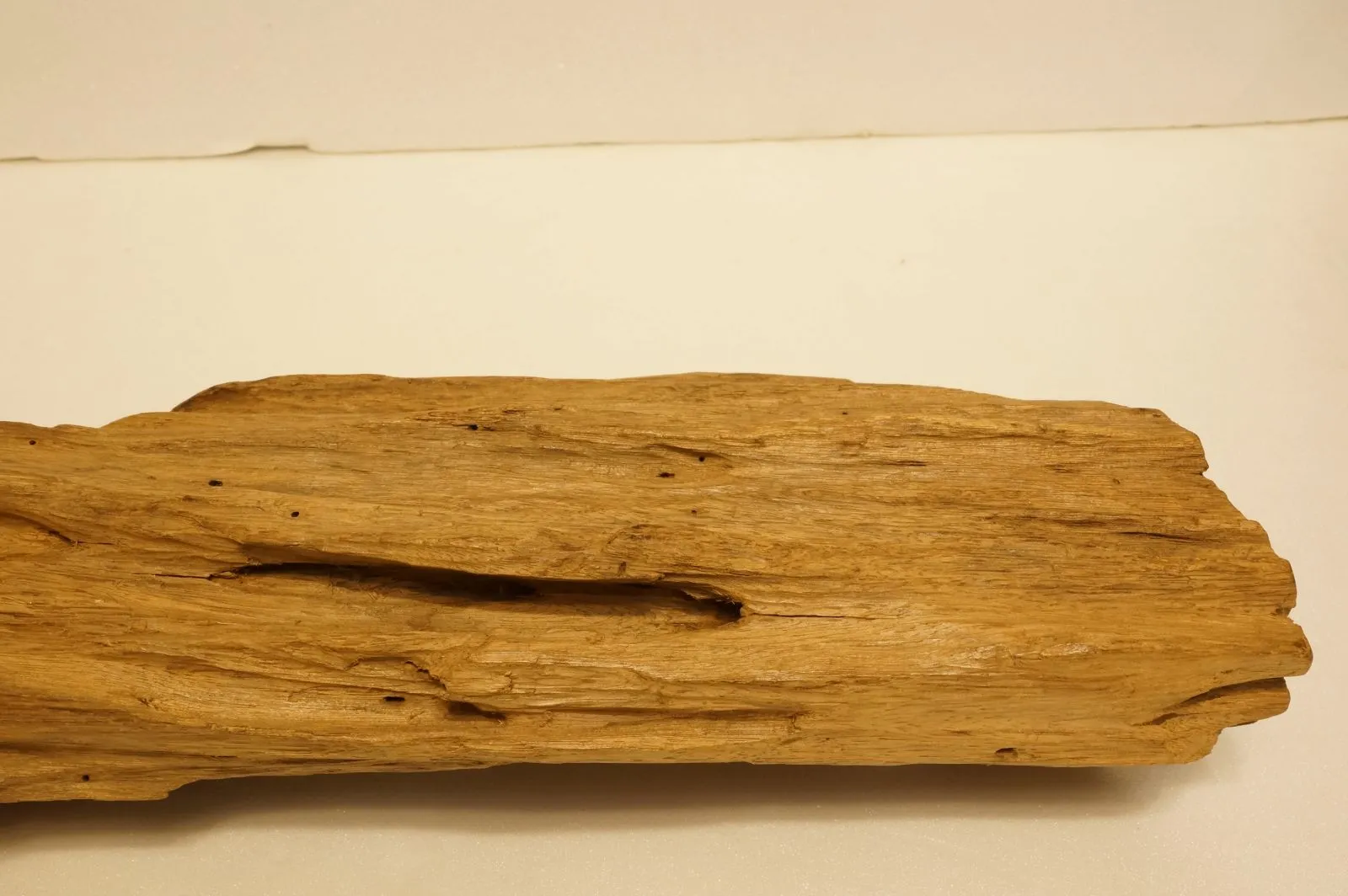 Jayapula半沉奇木