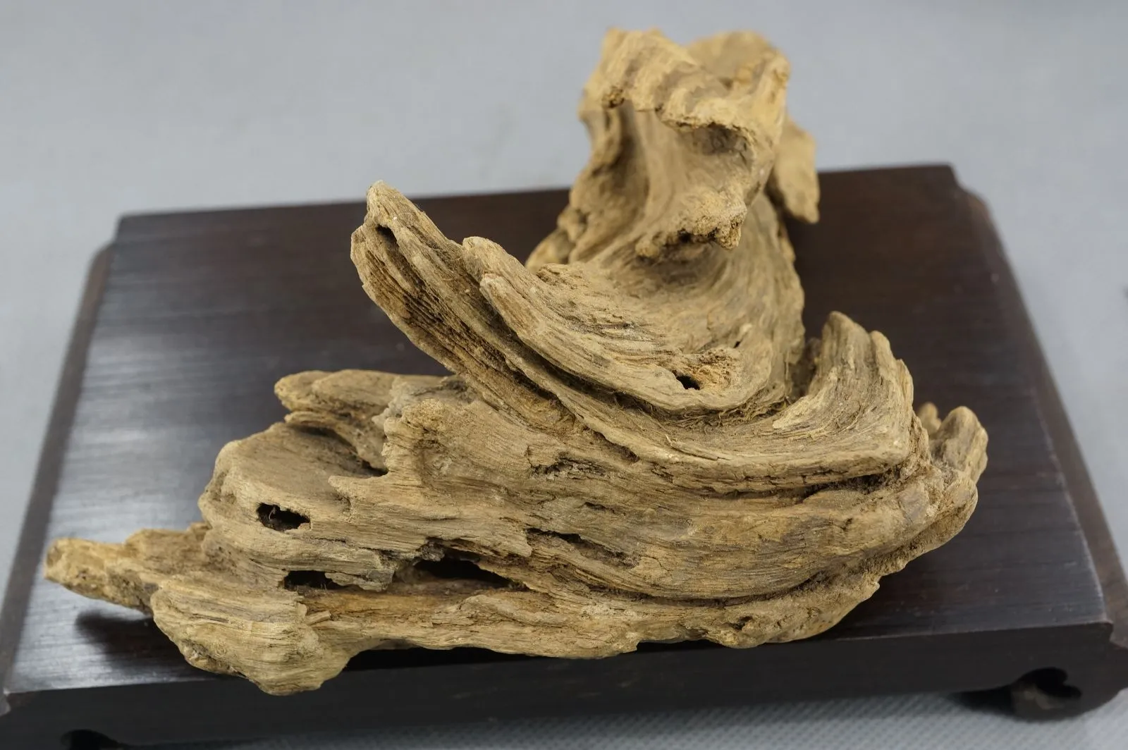 大件綠奇楠(一)~122.05g