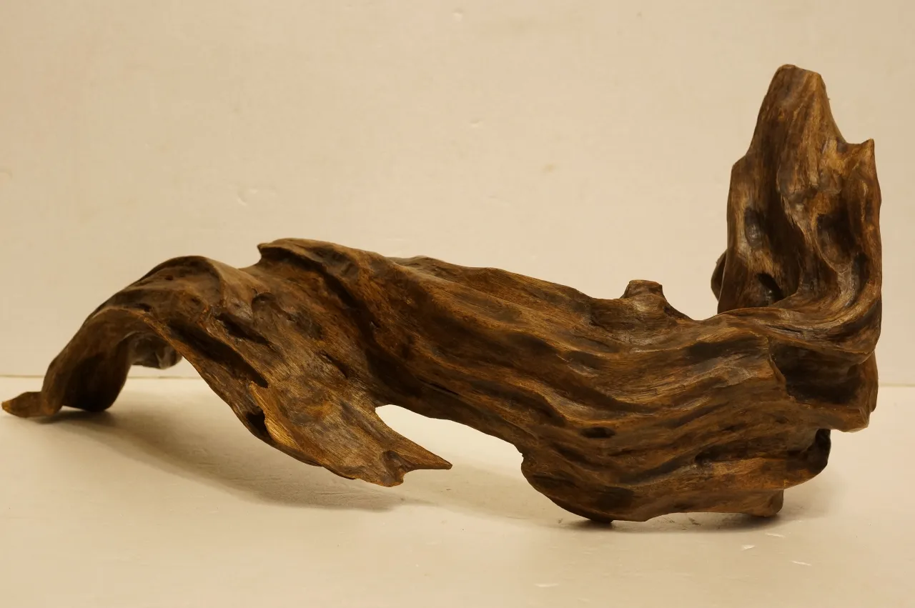 Jayapula水沉浮沉木~920g