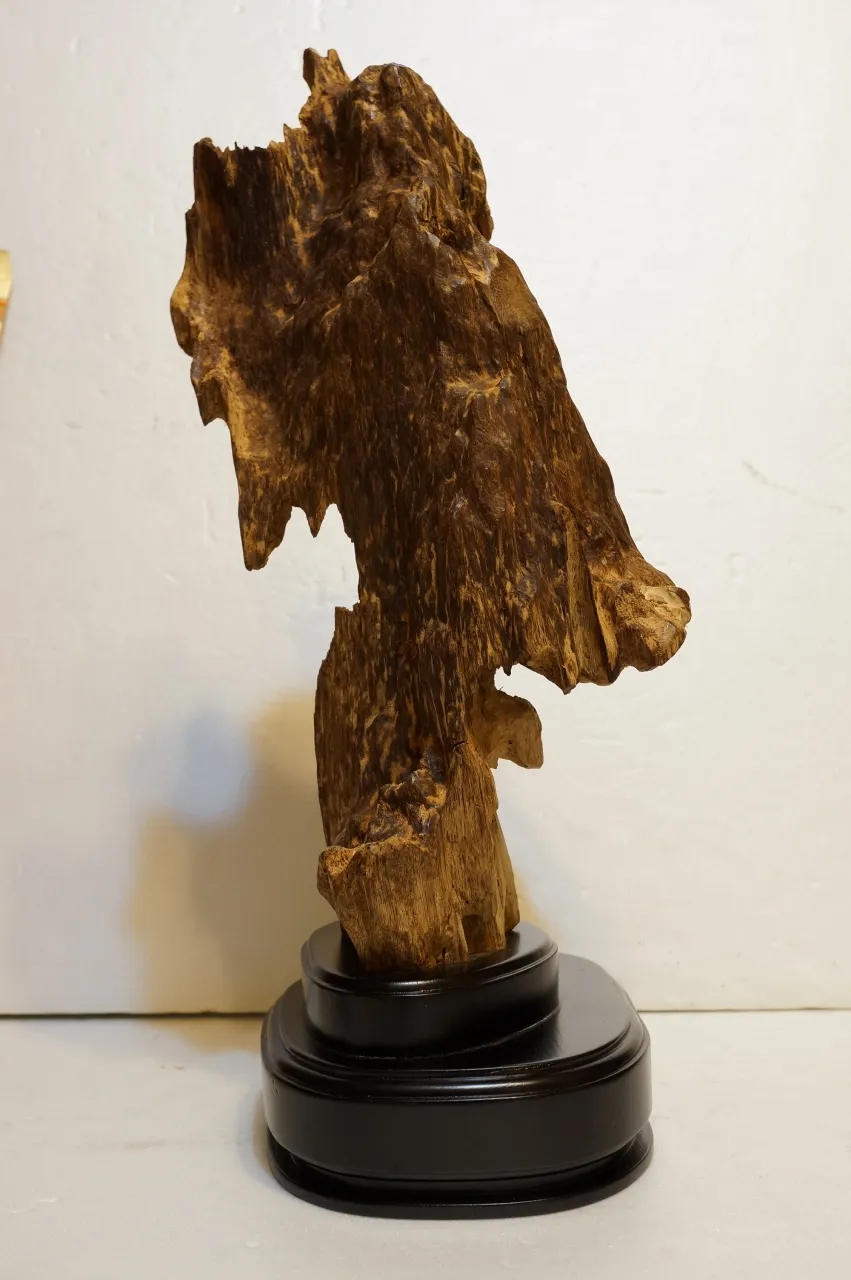 野生越南大件沉香