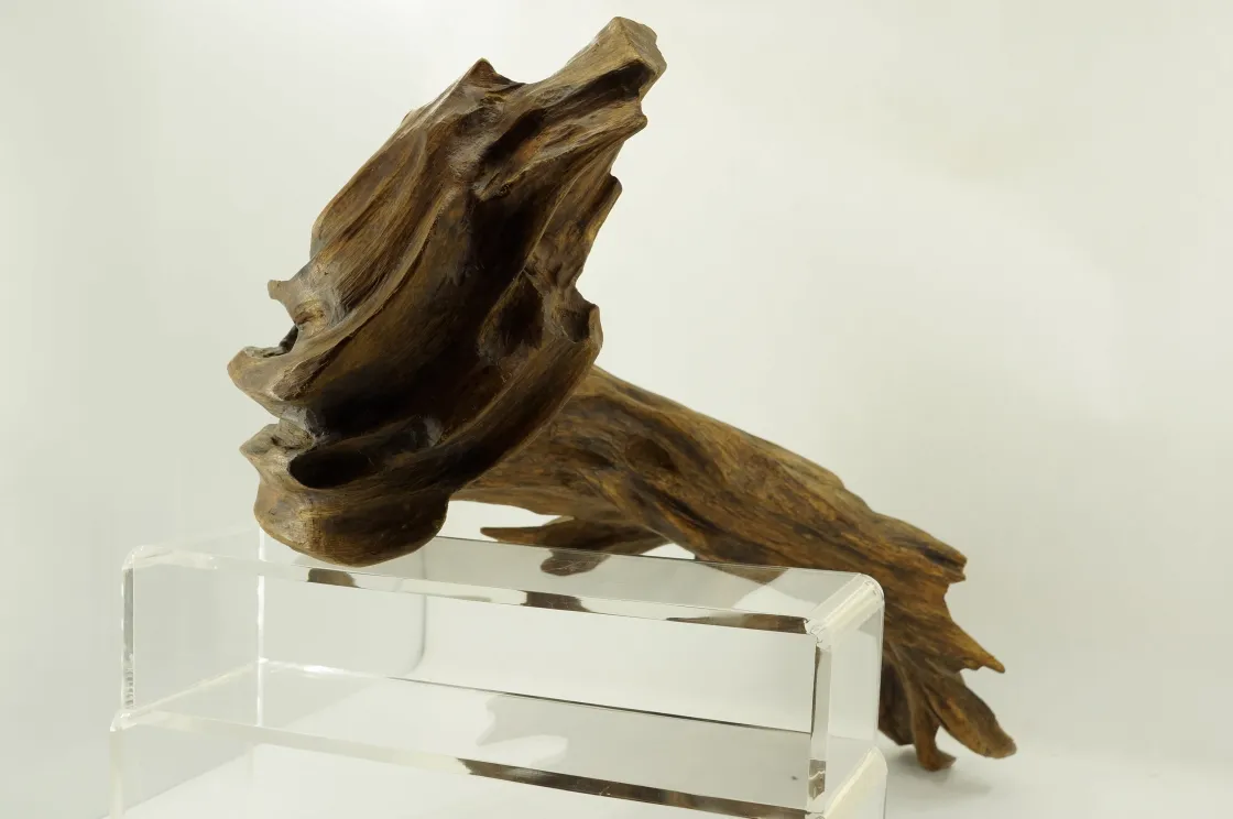 Jayapula水沉浮沉木~920g