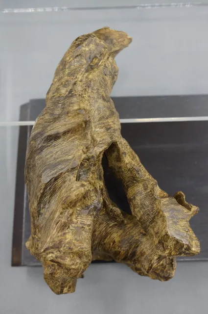 印尼達拉干奇味