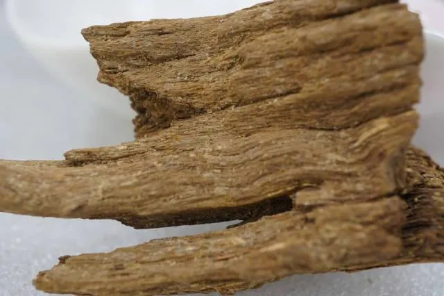 富森紅土水浮11.5g沉香