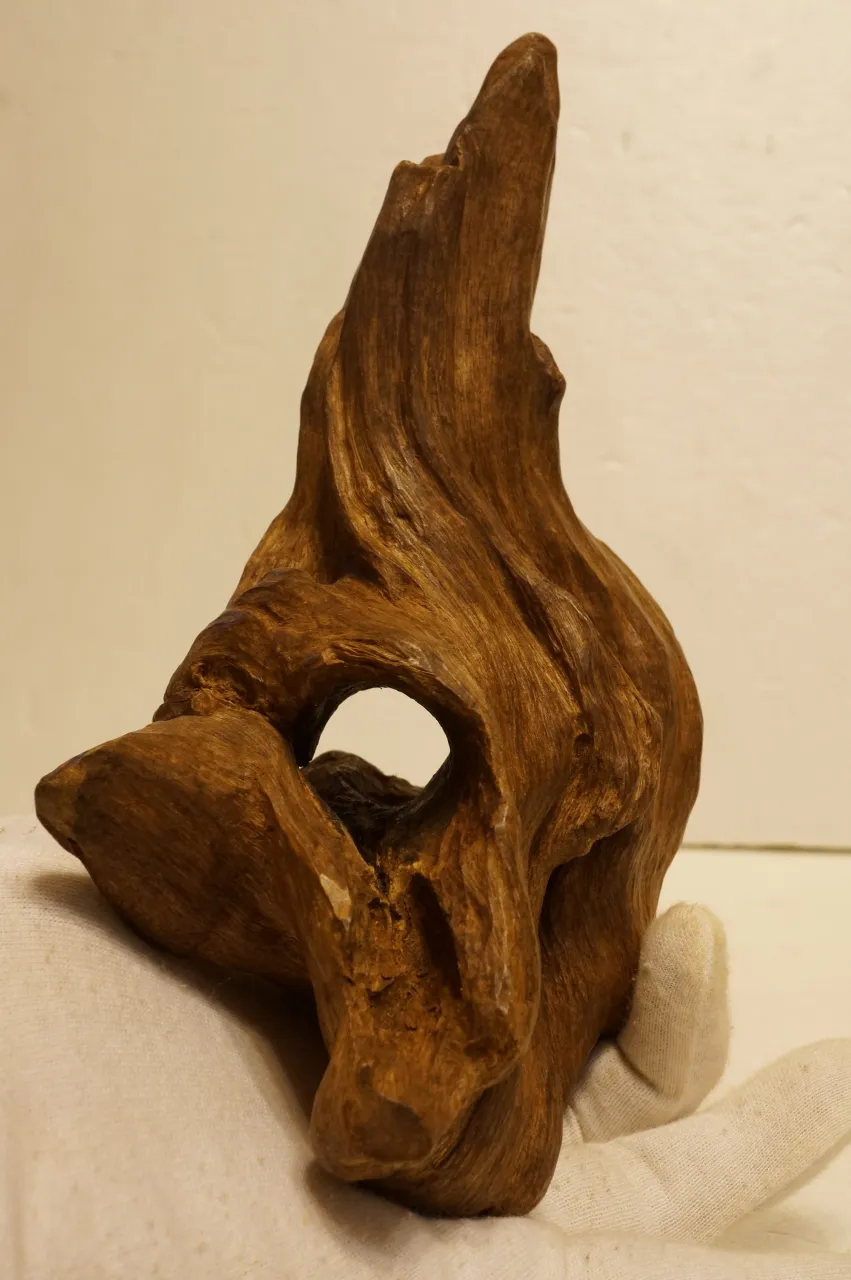 印尼索龍水沉浮