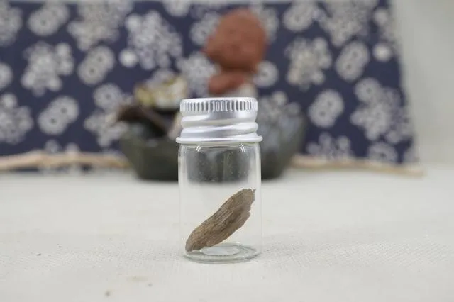 綠奇楠生結0.359g