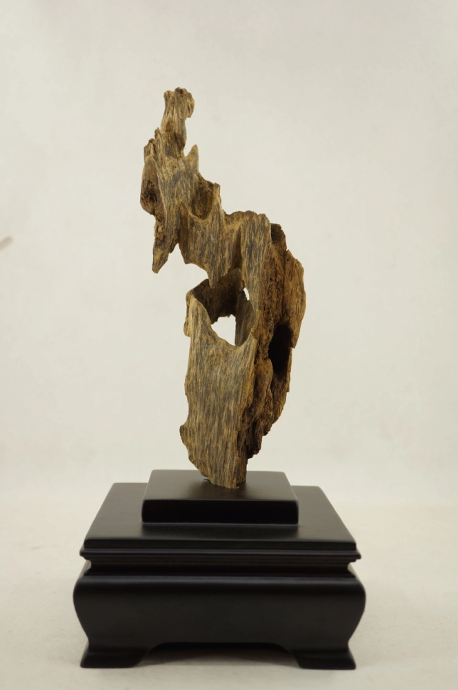 野生越南順化79.6