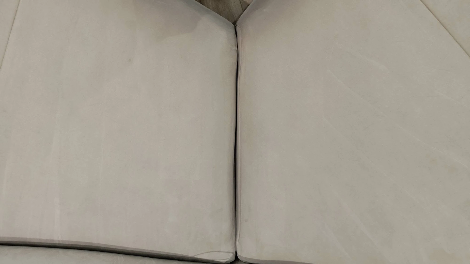 貓尿沙發清潔