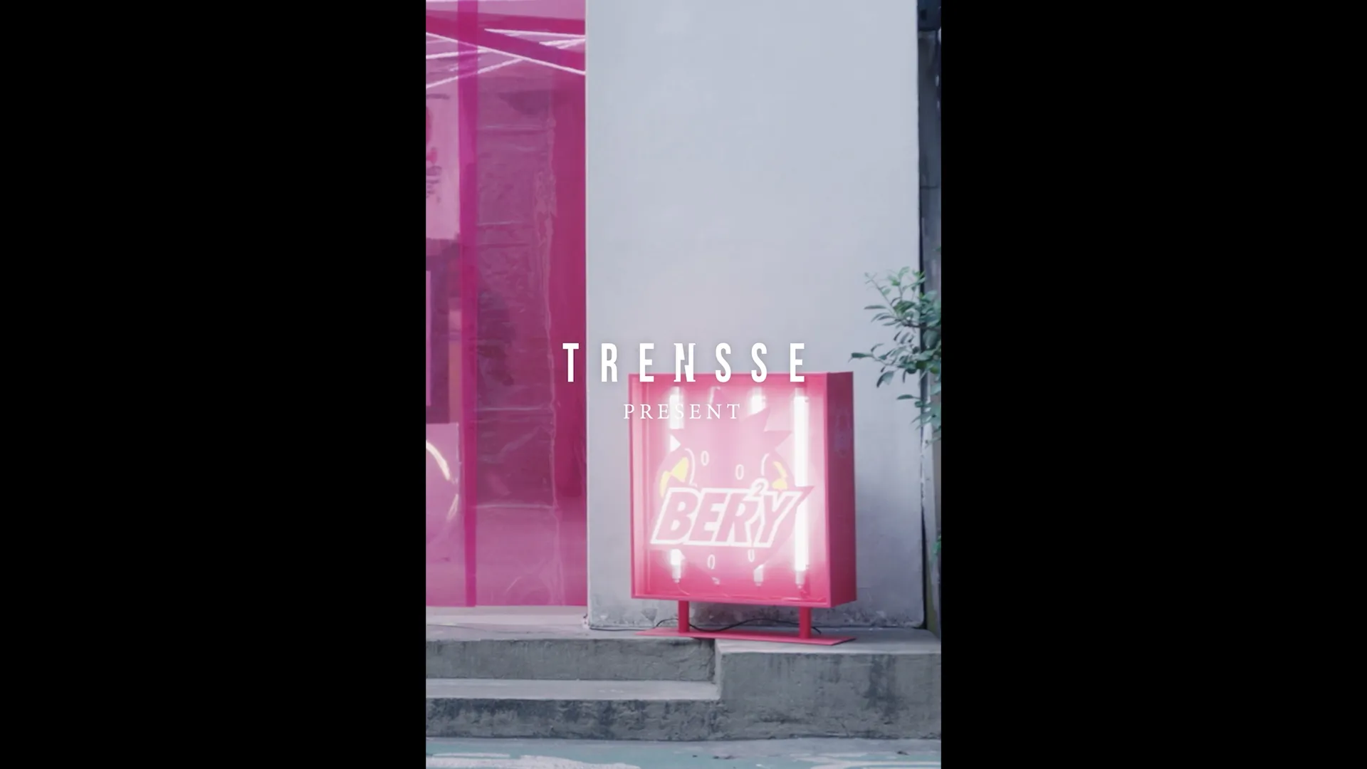 展覽短影音 Emotionally Affordable｜TRENSSE