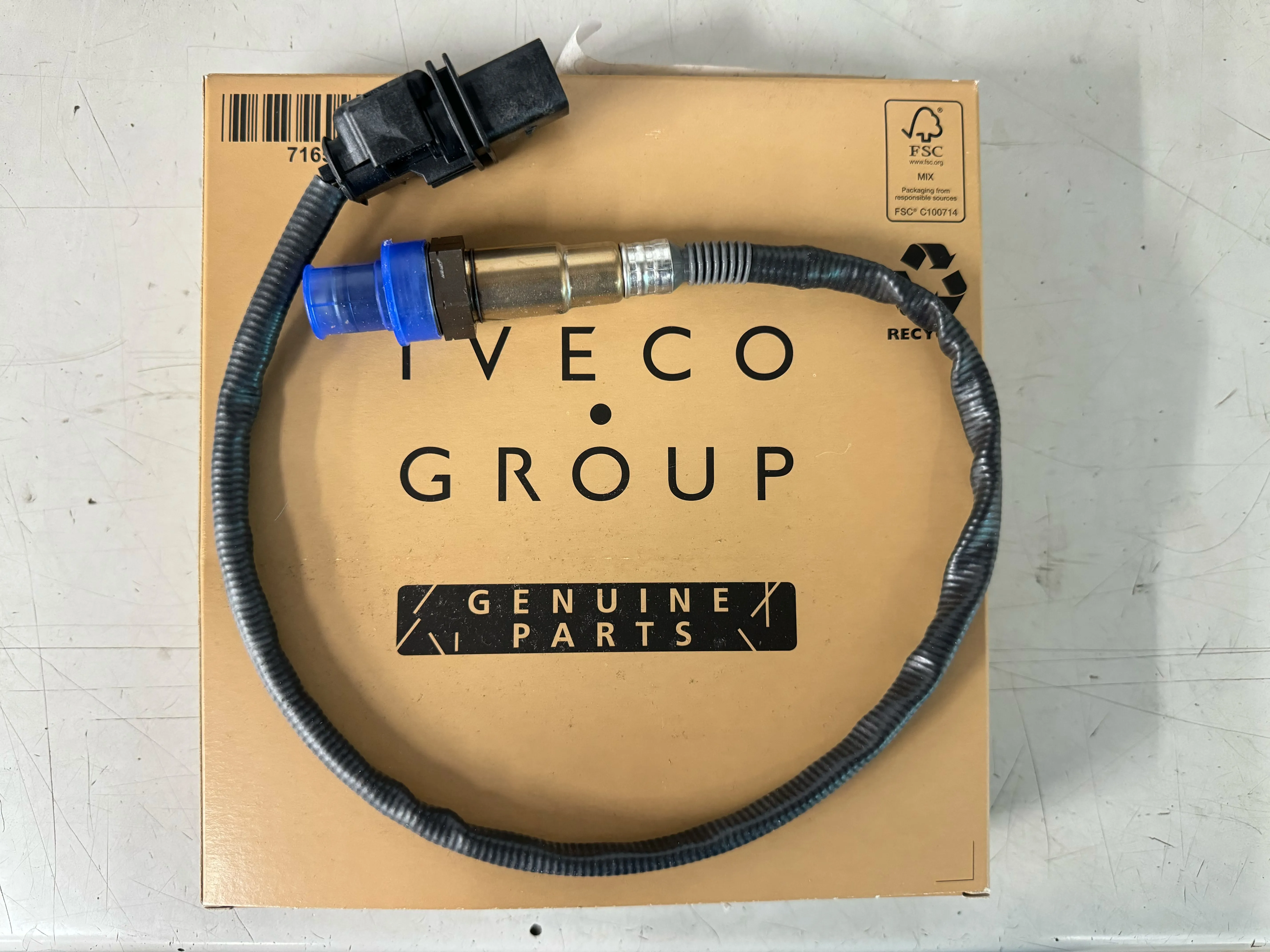 含氧感知器(O2 Sensor)