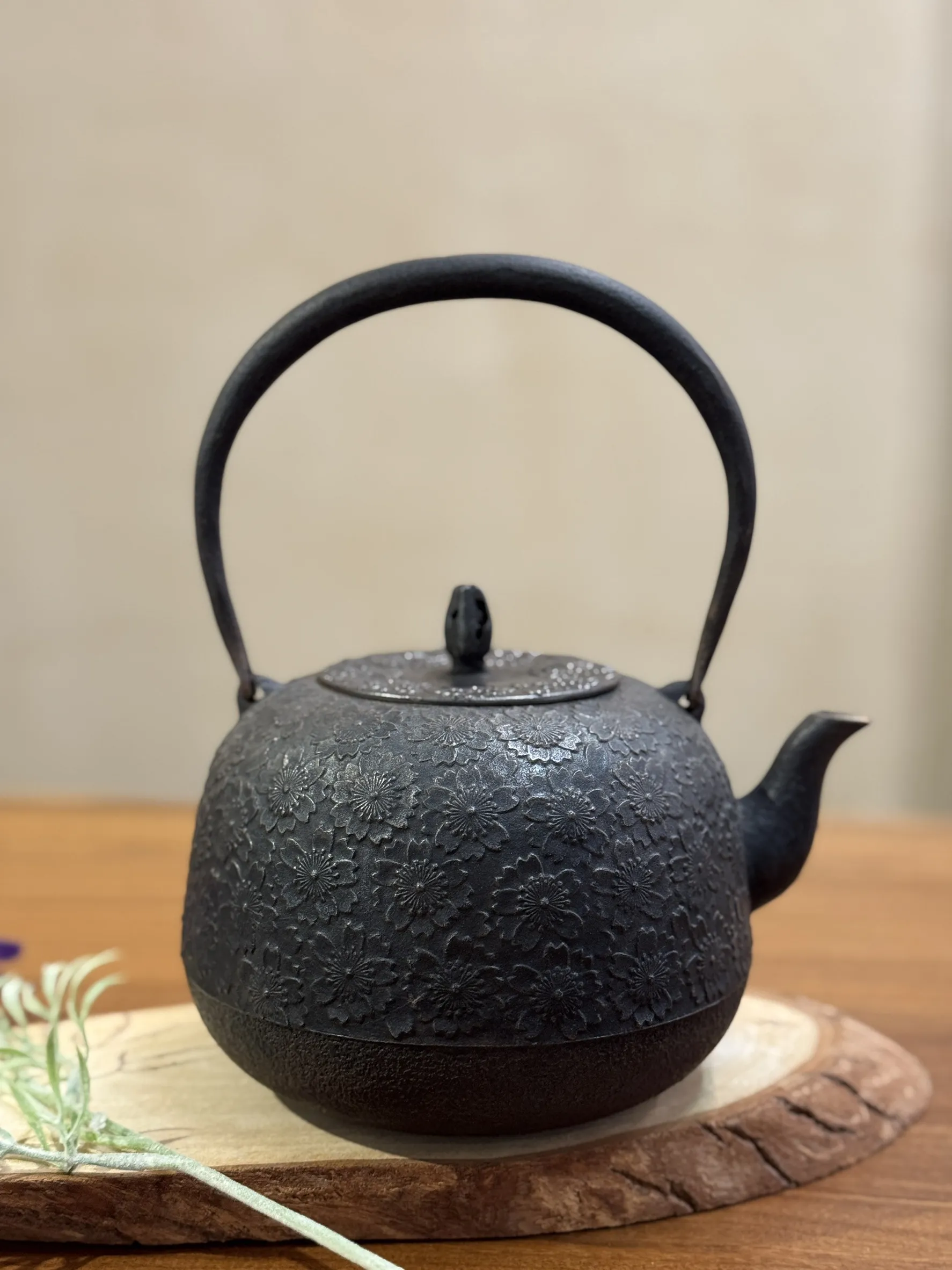 照光堂 棗型櫻滿開老鐵壺
