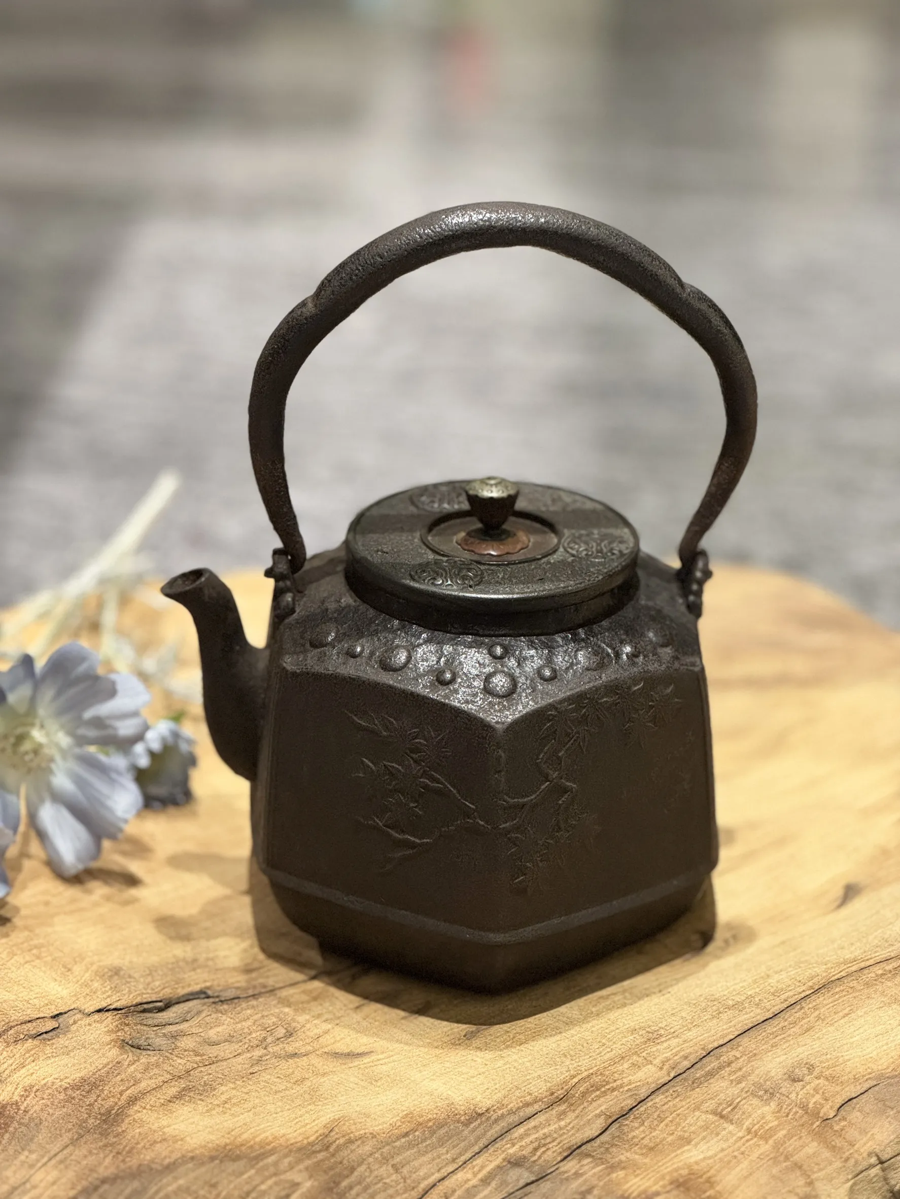 晴壽堂作 三彎把六面型花鳥紋老鐵瓶