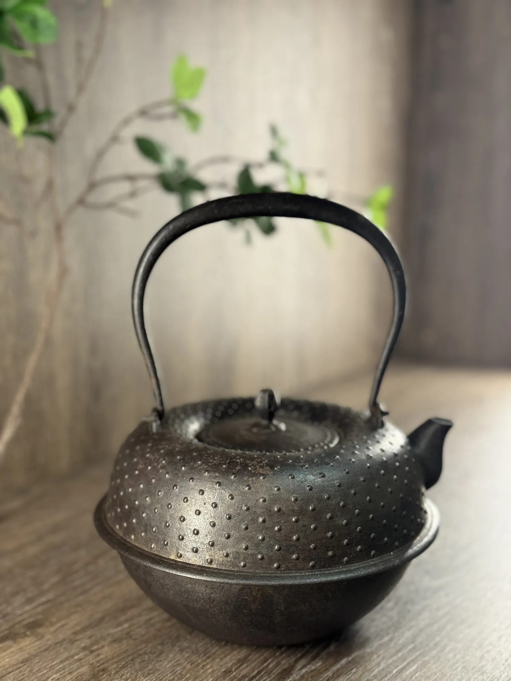 釜型霰紋 古砂鐵瓶