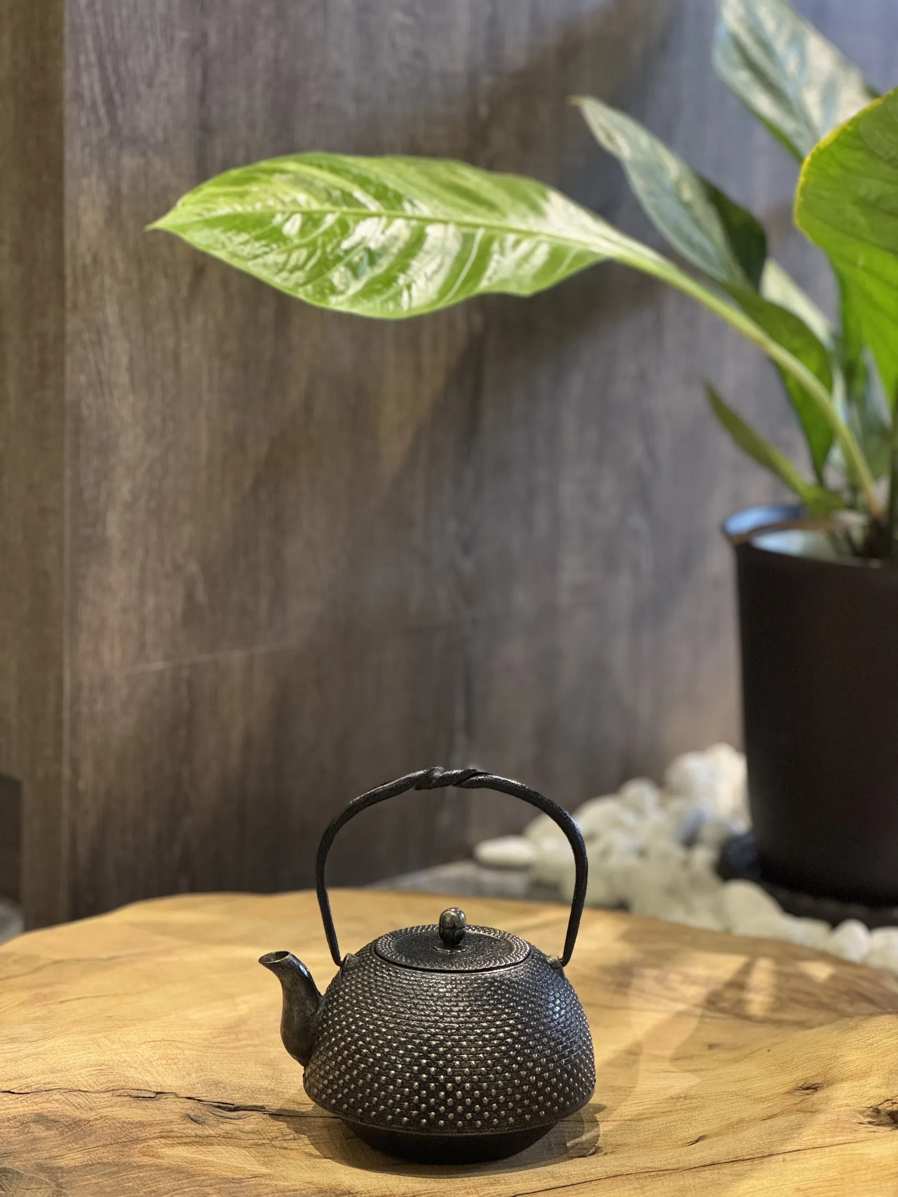 南部形 霰紋小砂鐵壺