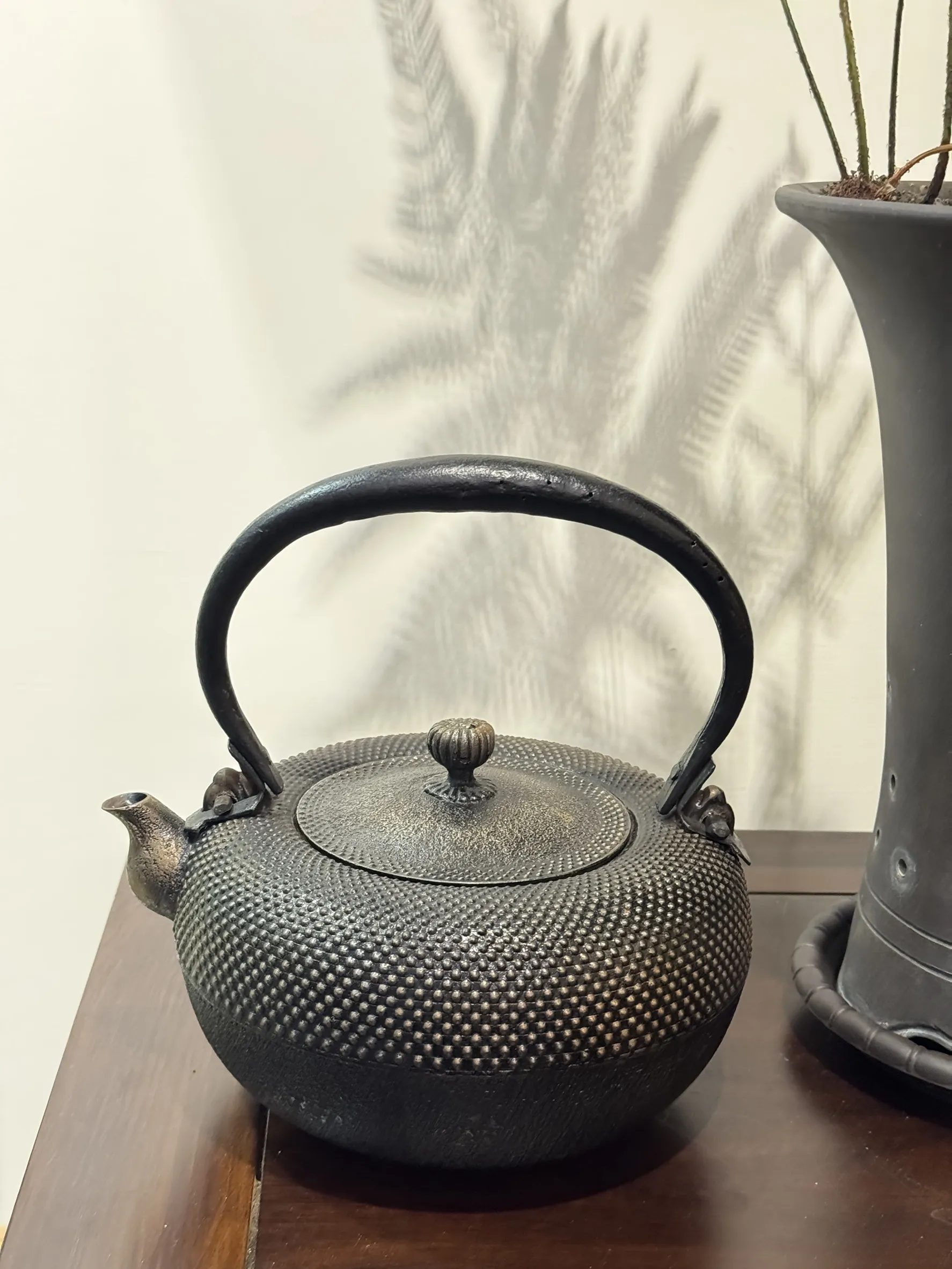 照光堂堂主 心齋作 平丸型 霰紋 砂鐵壺