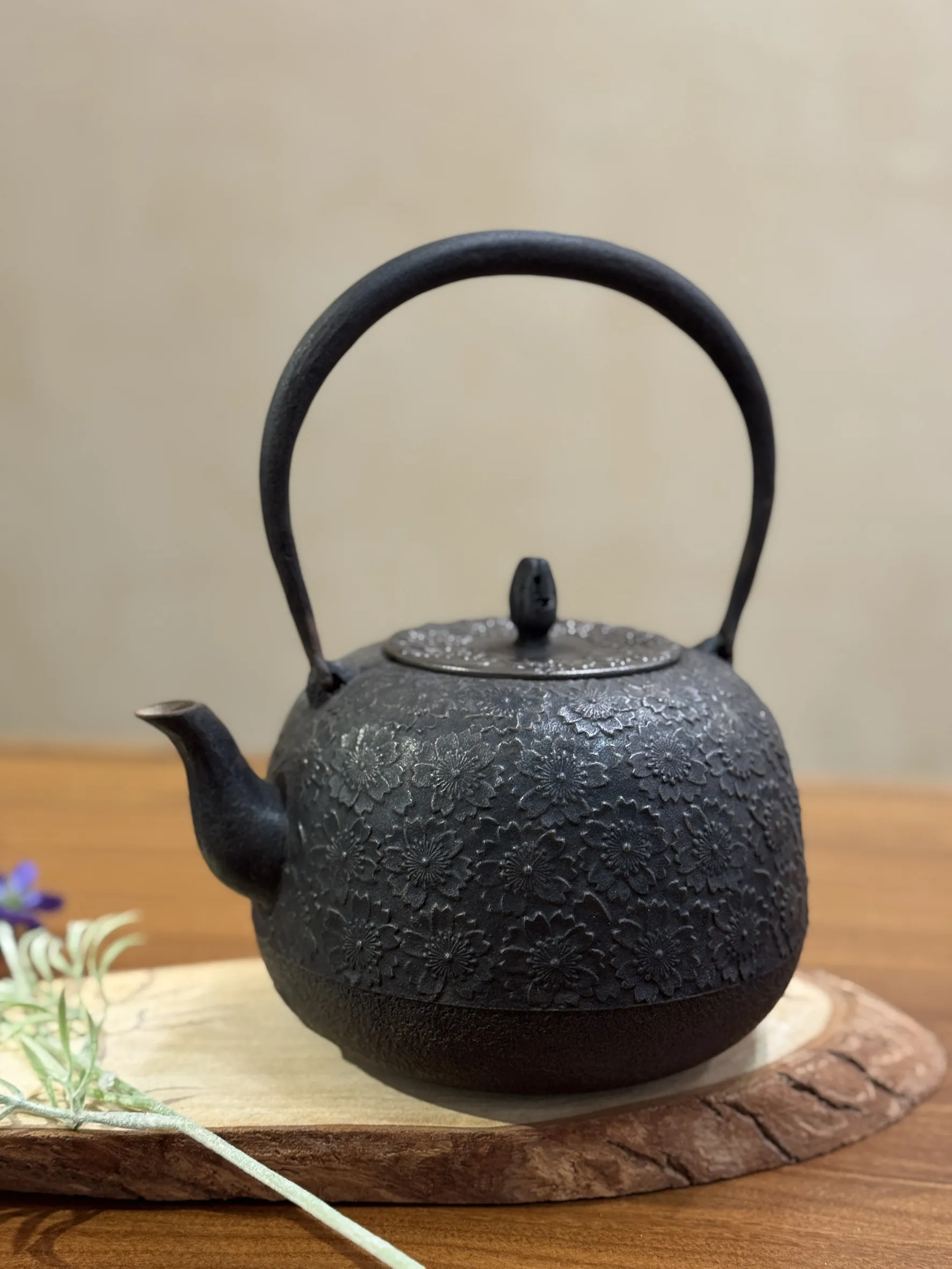 照光堂 棗型櫻滿開老鐵壺