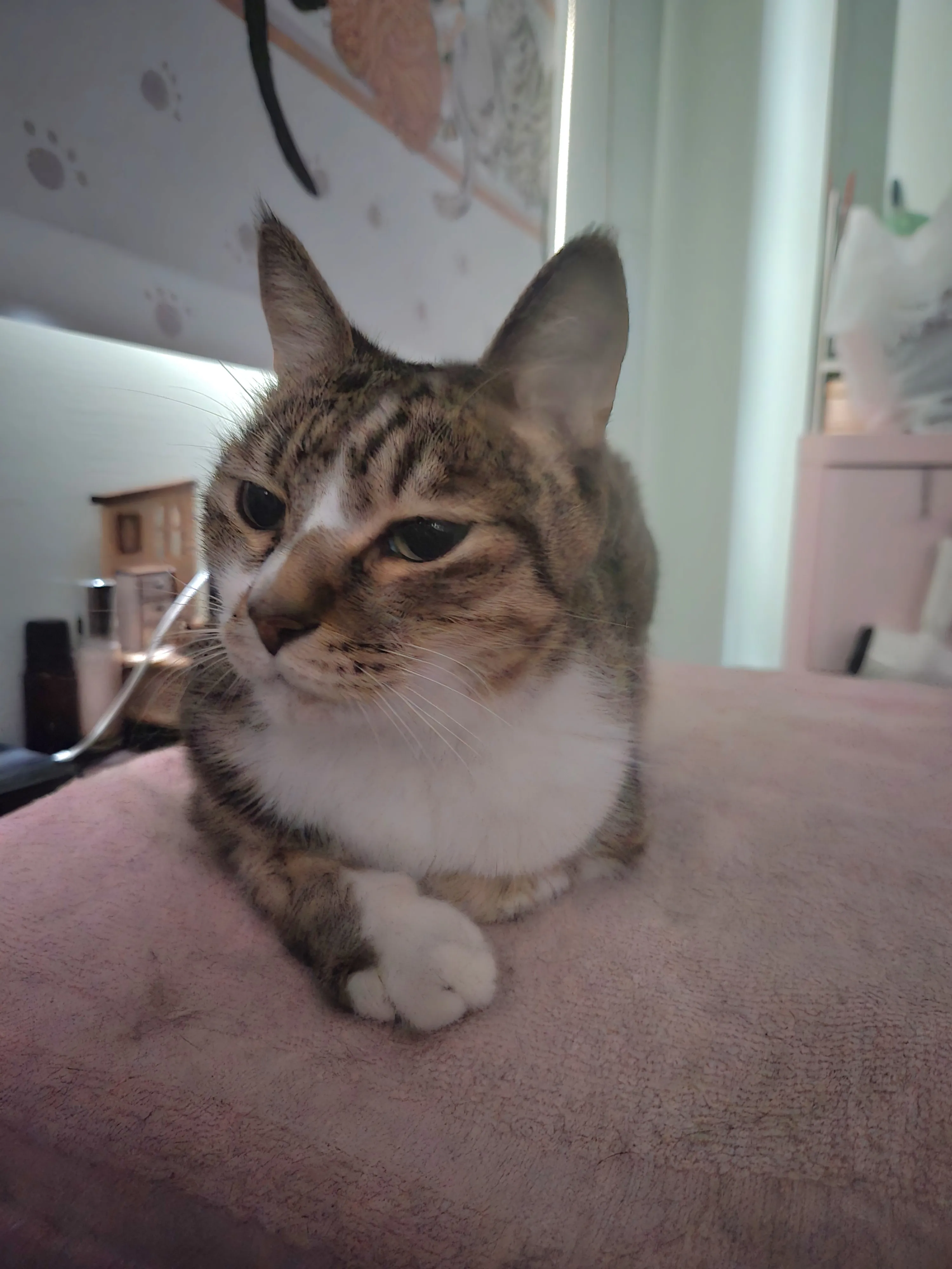 台灣詐騙的方式