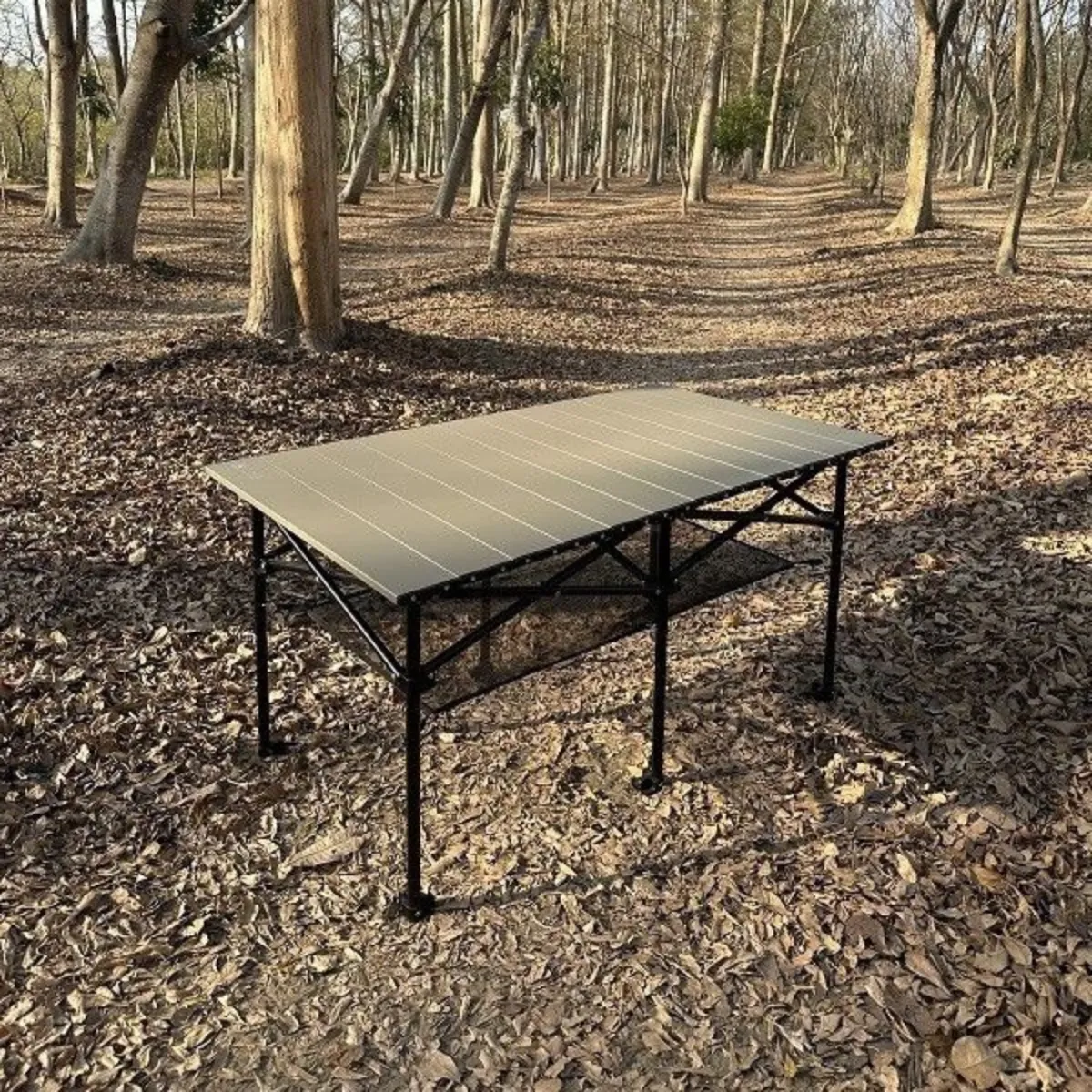 AL1鋁合金折疊收納桌(銀河鈦)