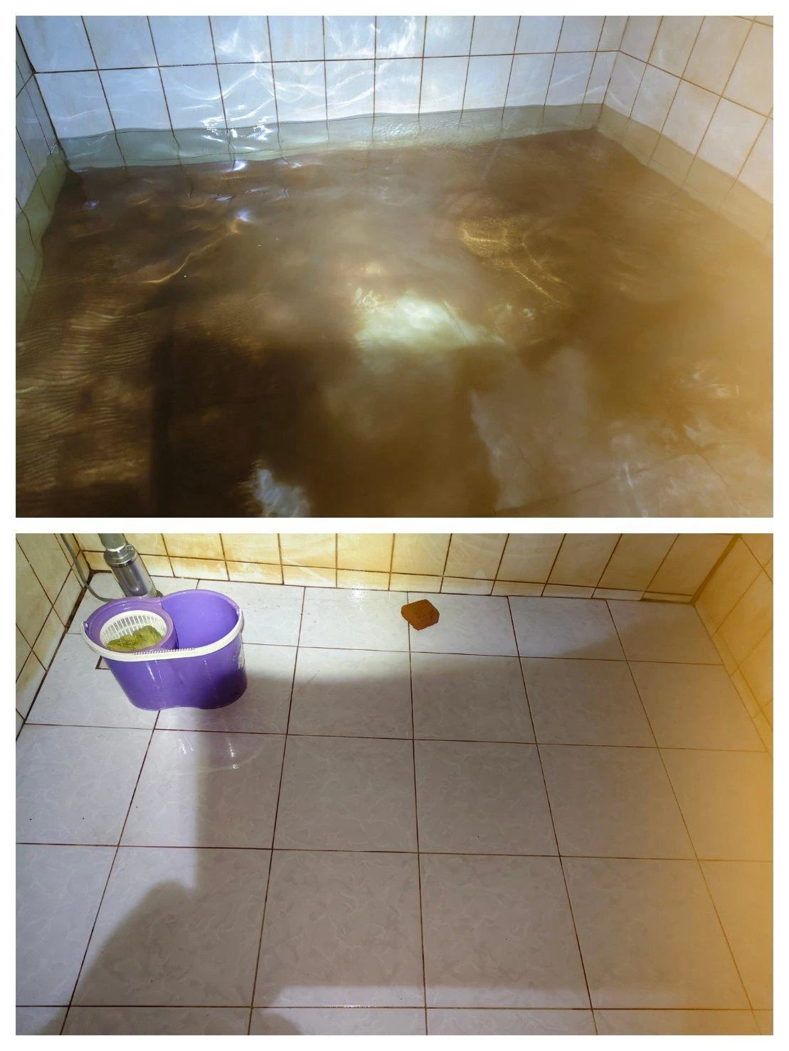 桃園區 蓄水池清洗