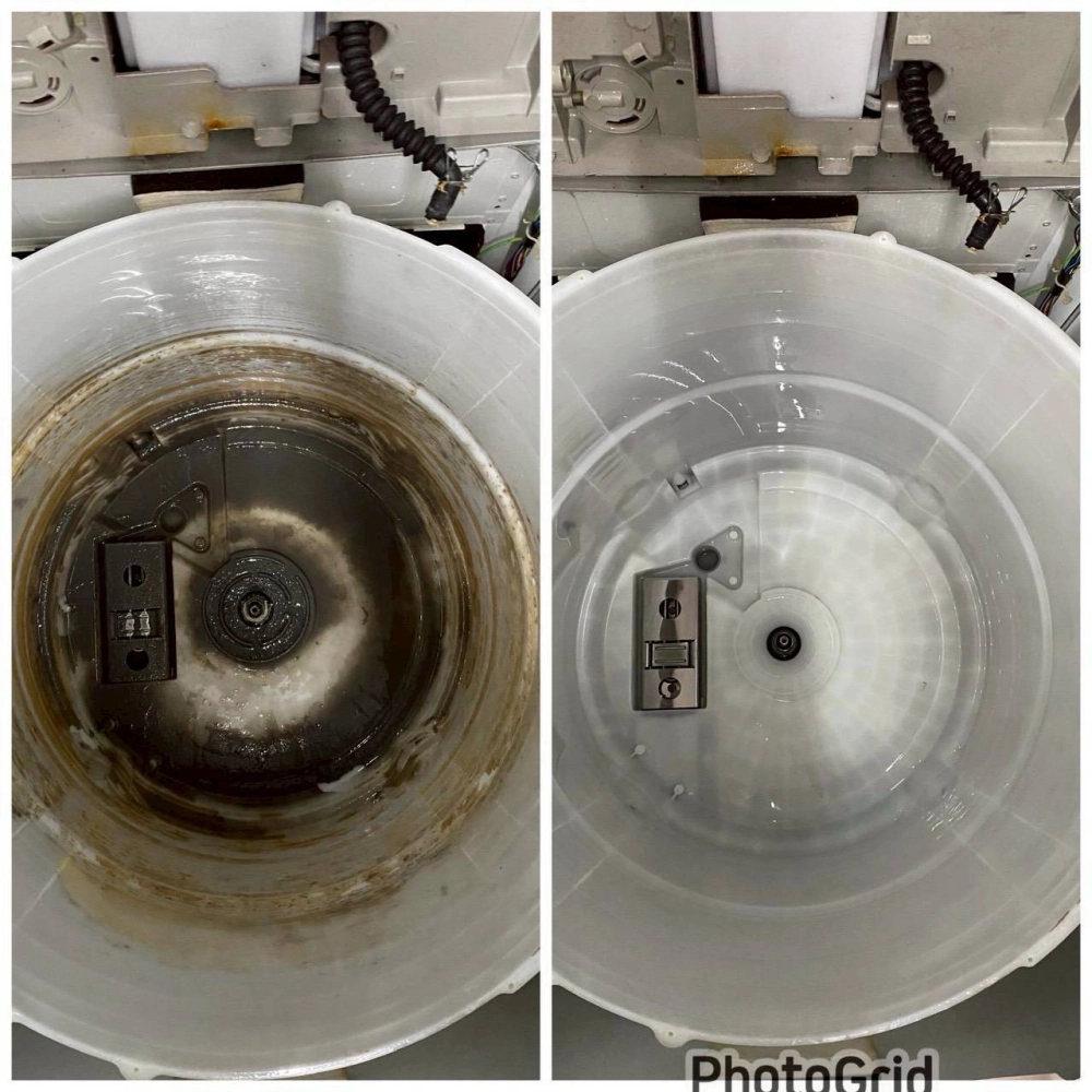 桃園 平鎮區 直立式洗衣機清洗