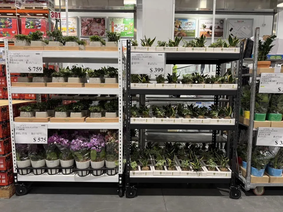 好市多北台中店.盆栽收納展示｜角鋼架廠商｜台中角鋼架廠商