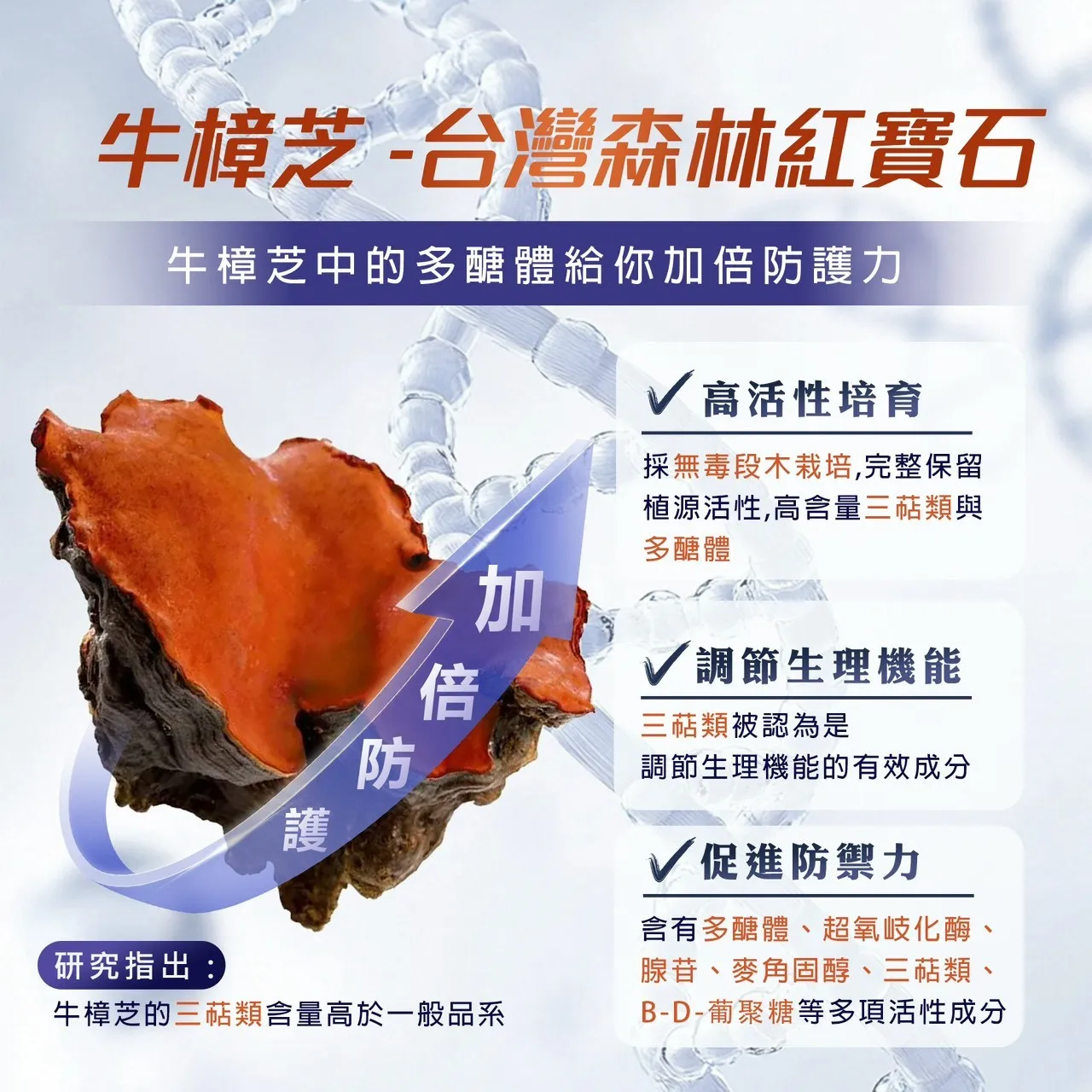 【好甘芯】牛樟芝膠囊／30粒（奶素）