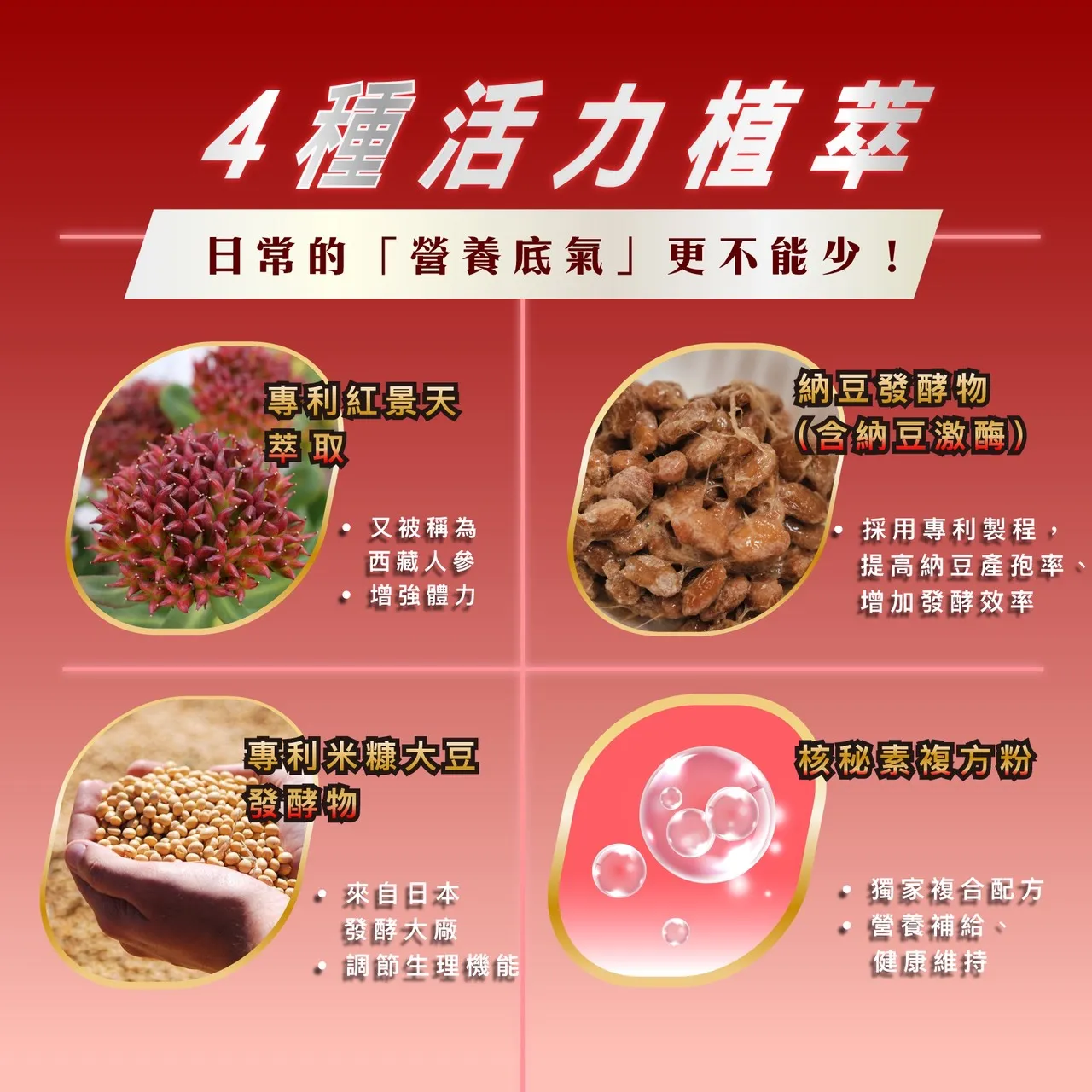 專利蚓激酶複方膠囊/30粒/盒