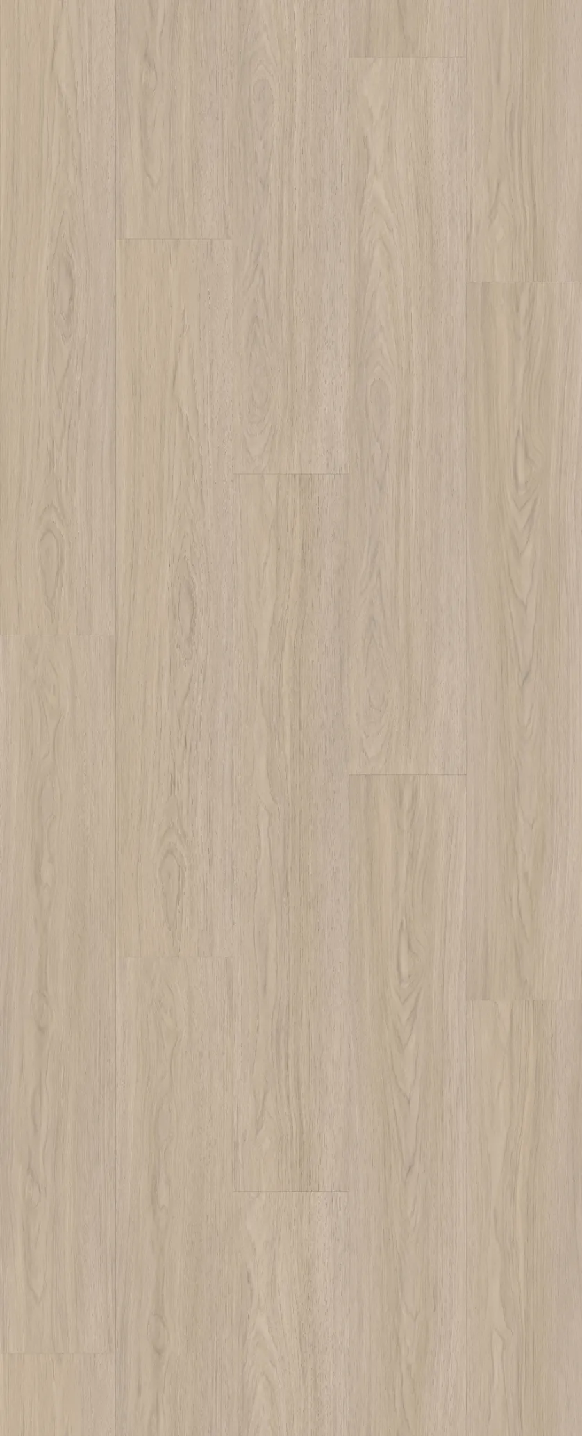  [諾達] 8mm典韻｜A1506C 布拉德