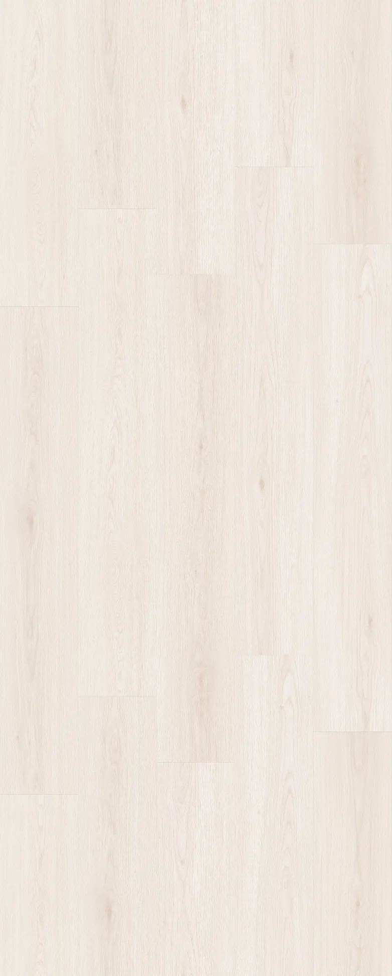  [諾達] 8mm典韻｜A1501 慕尼白