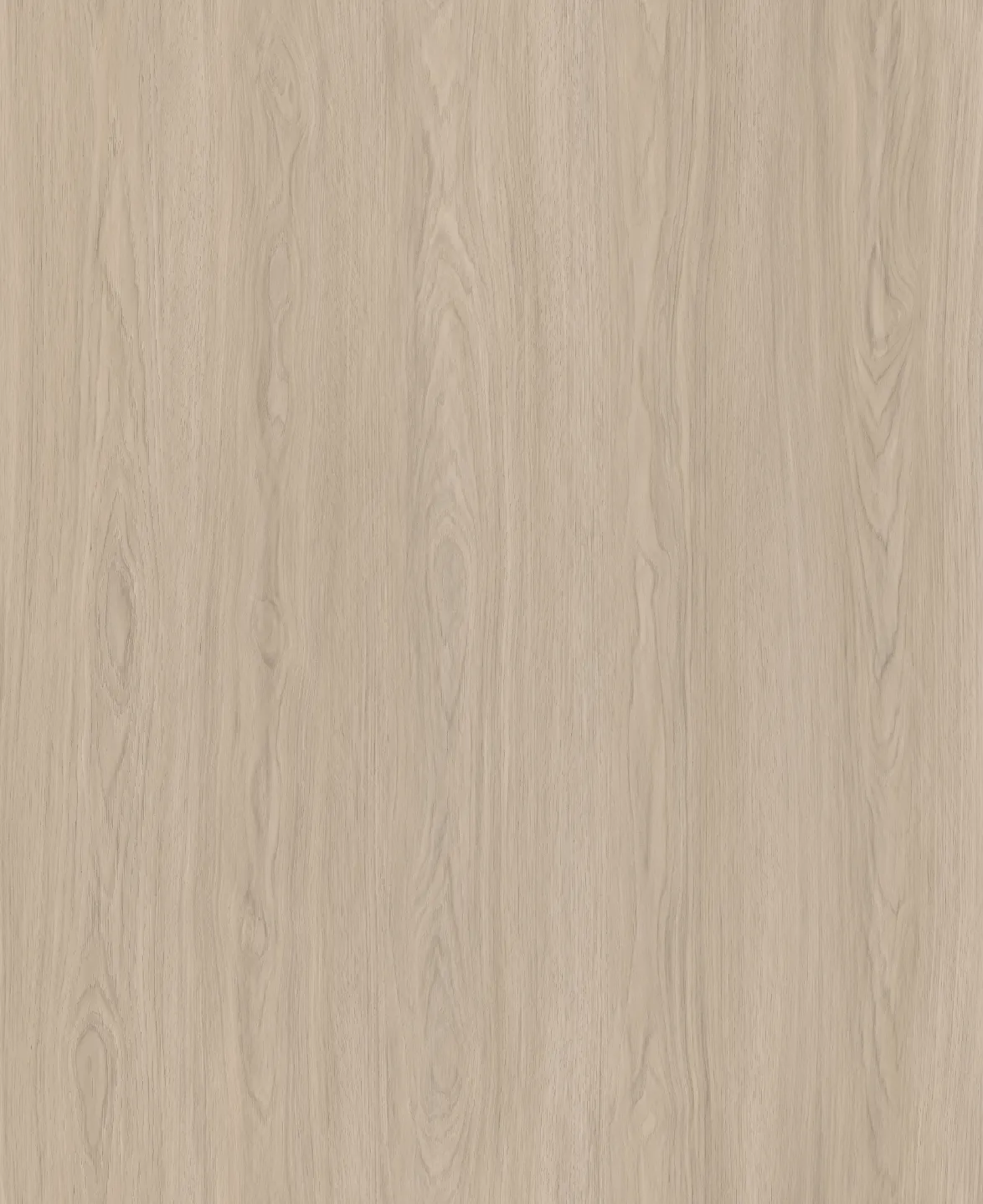  [諾達] 8mm典韻｜A1506C 布拉德