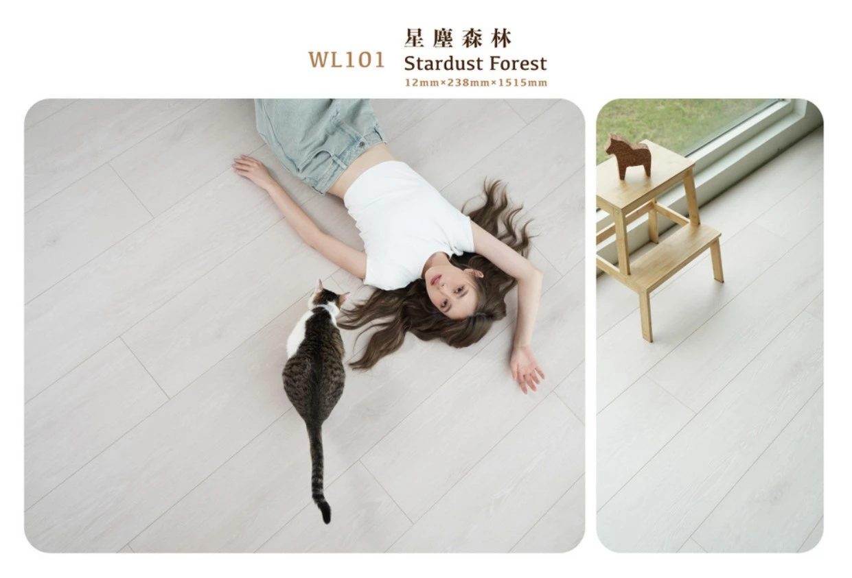  [森WoodLand] 全系列｜WL101 星塵森林