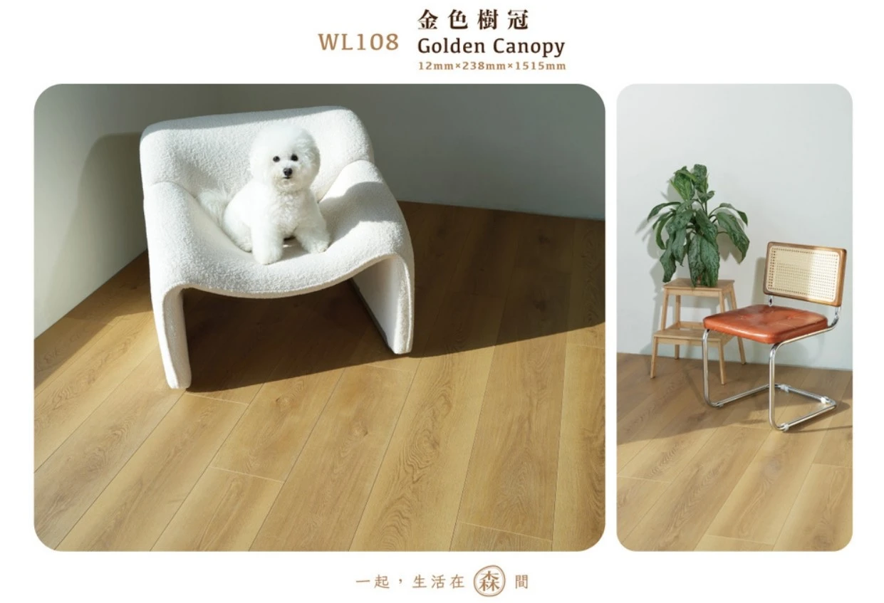  [森WoodLand] 全系列｜WL108 金色樹冠