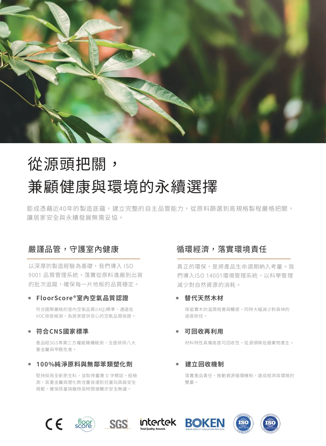  鉅成抗病毒地板型錄