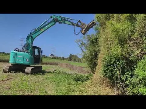 樹木修鋸，雜木鋸除