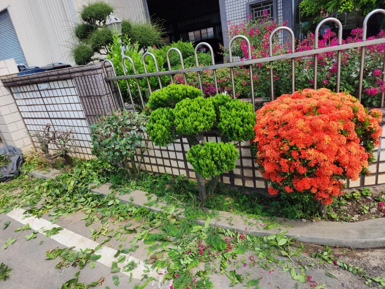 多層次植栽