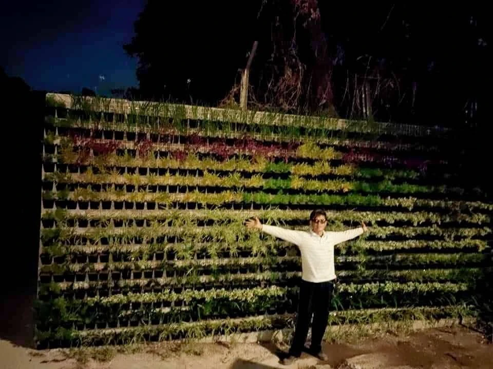 陽台植牆造景.自動噴灌滴灌