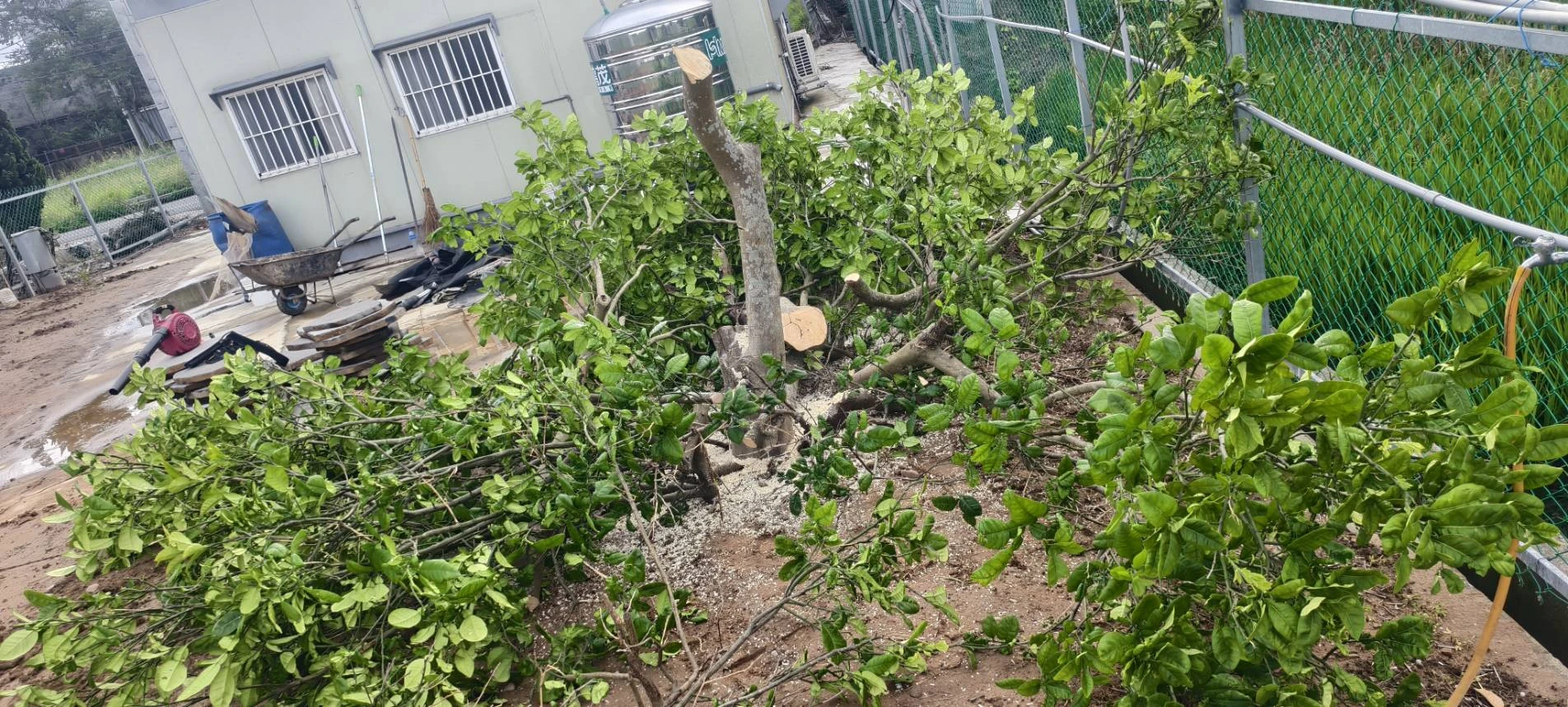 除草整地.園藝造景自動噴灌
