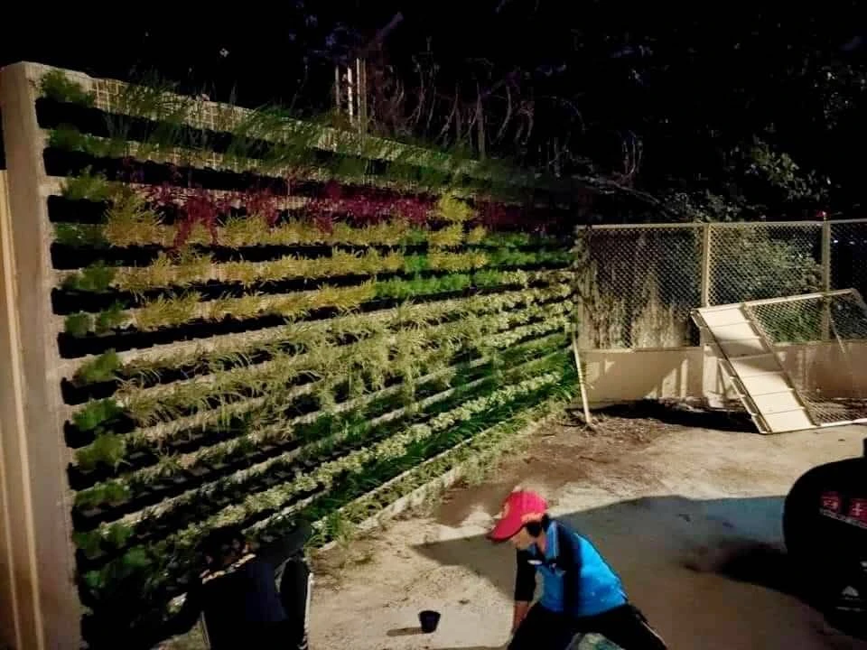 陽台植牆造景.自動噴灌滴灌