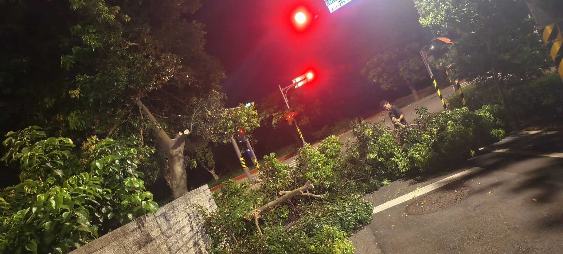 颱風天前，夜間準備防颱，鋸樹