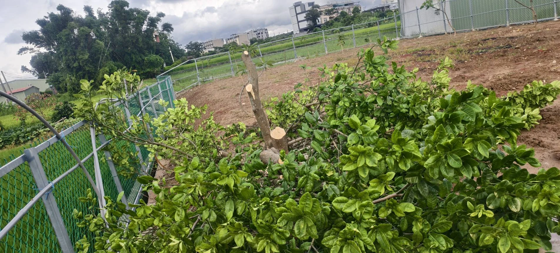 除草整地.園藝造景自動噴灌