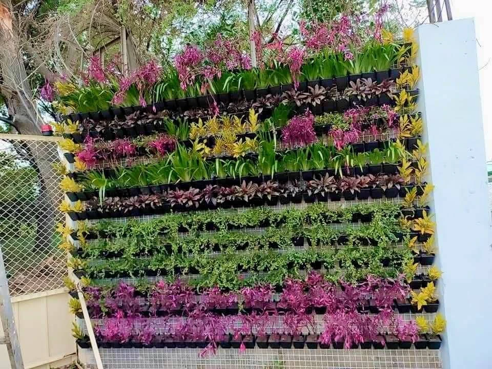 陽台植牆造景.自動噴灌滴灌