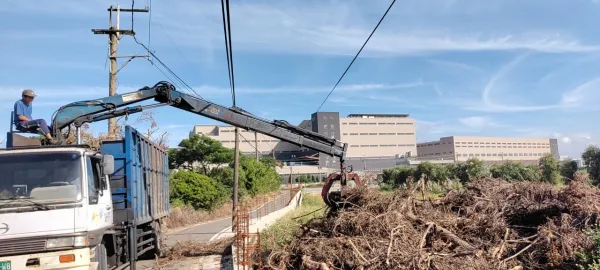 新建廠區周邊樹木矮化，雜草割除，樹枝葉清運