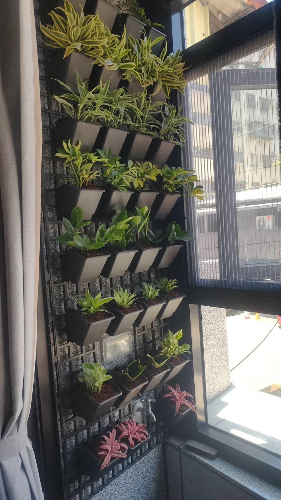 陽台植牆造景.自動噴灌滴灌