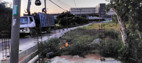 新建廠區周邊樹木矮化，雜草割除，樹枝葉清運