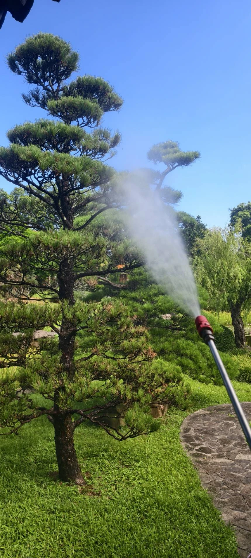 病蟲害防治.雜草防治