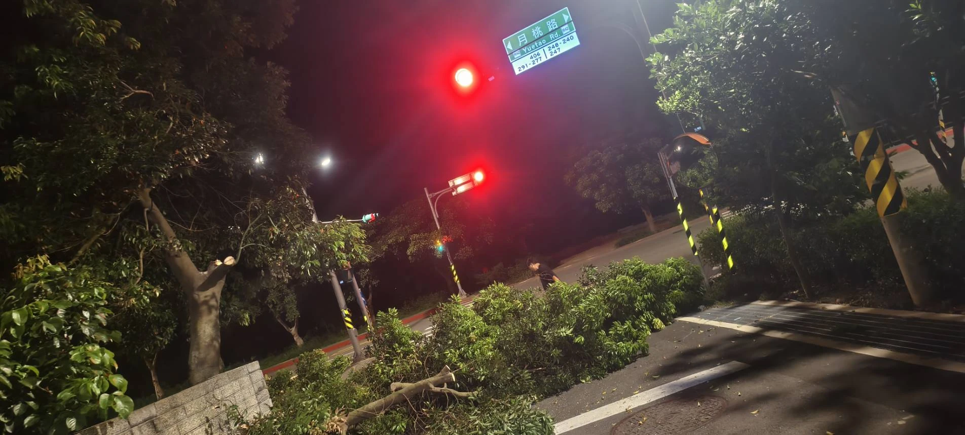 颱風天前，夜間準備防颱，鋸樹
