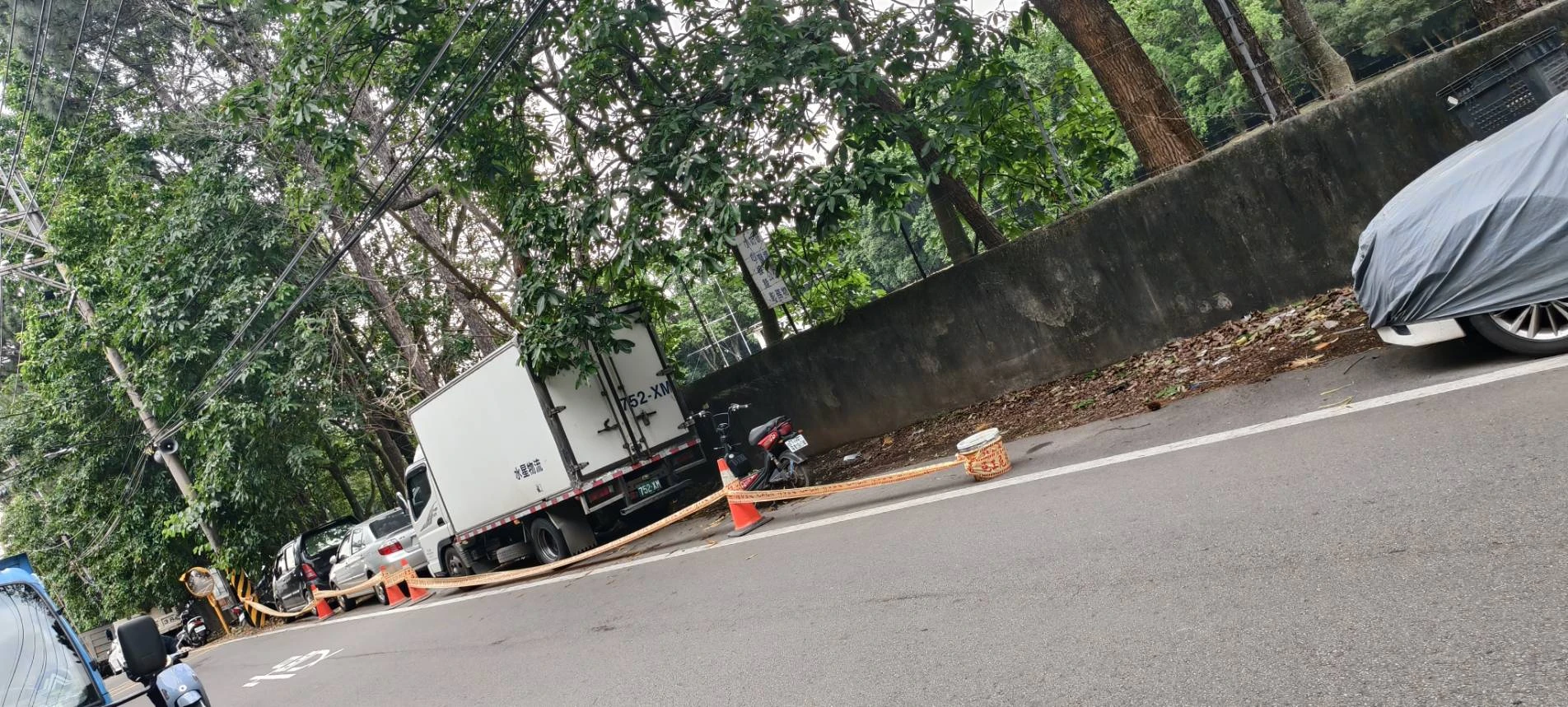 危險樹木鋸除