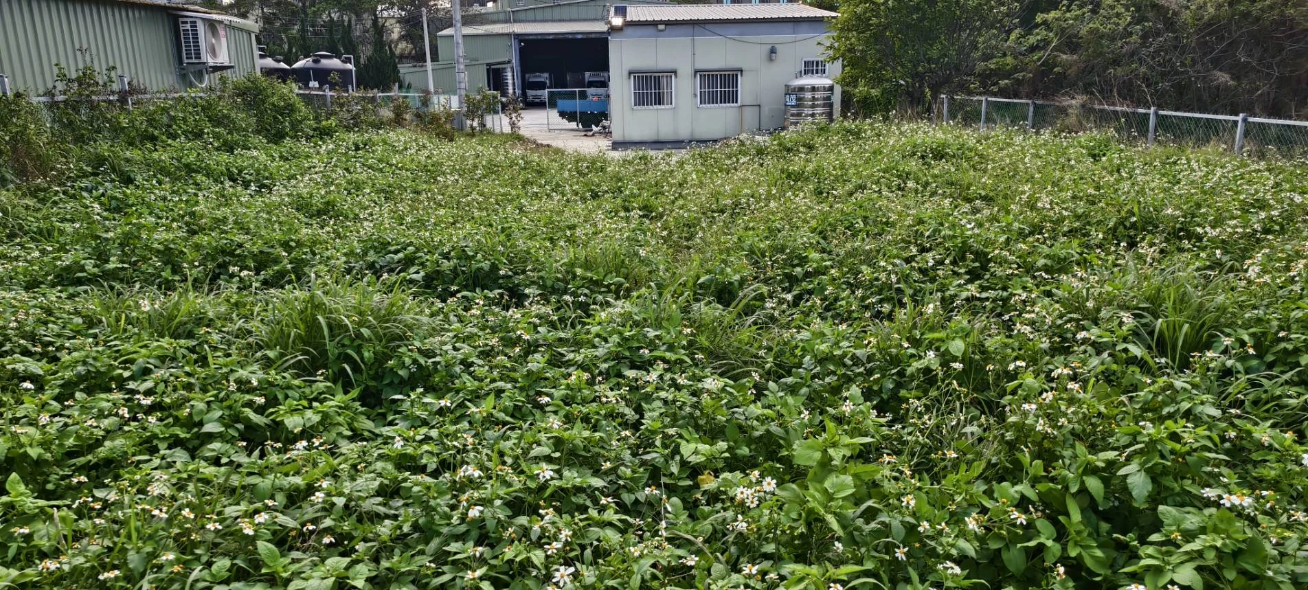 除草整地.園藝造景自動噴灌