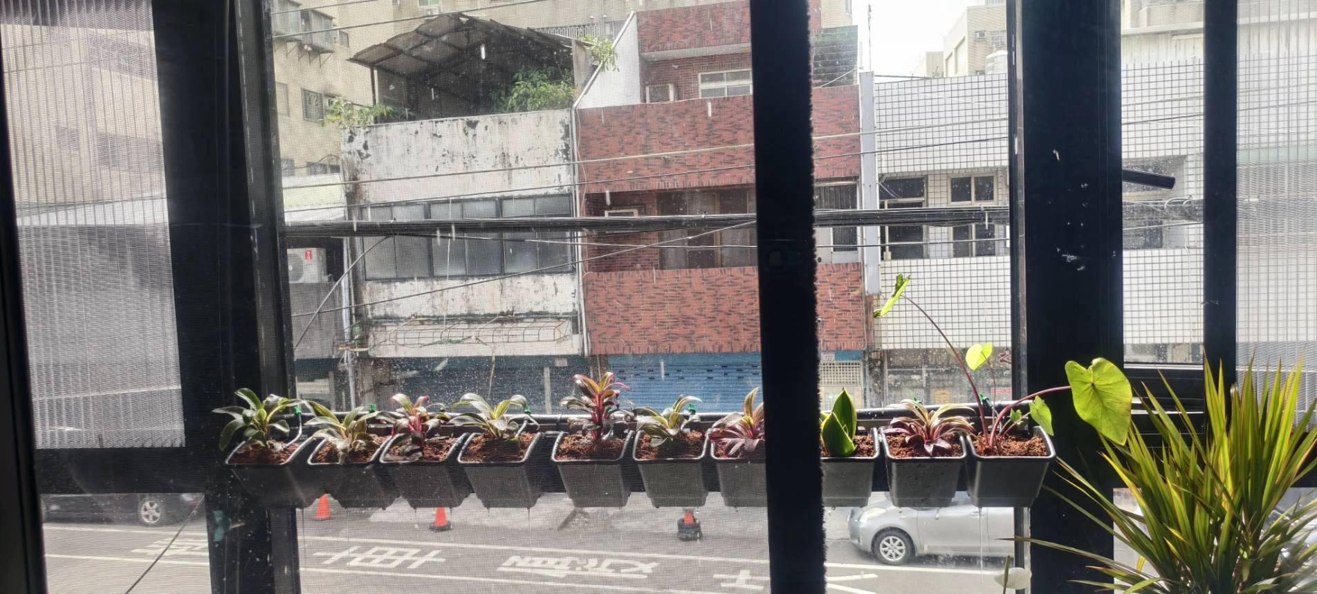 陽台植牆造景.自動噴灌滴灌