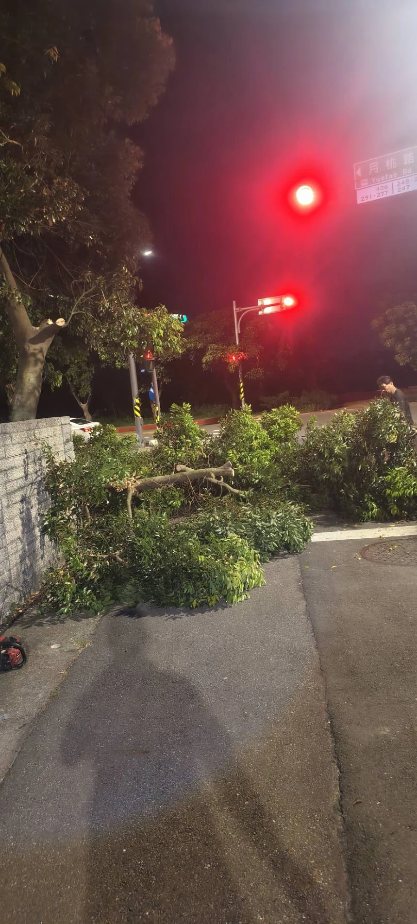 颱風天前，夜間準備防颱，鋸樹