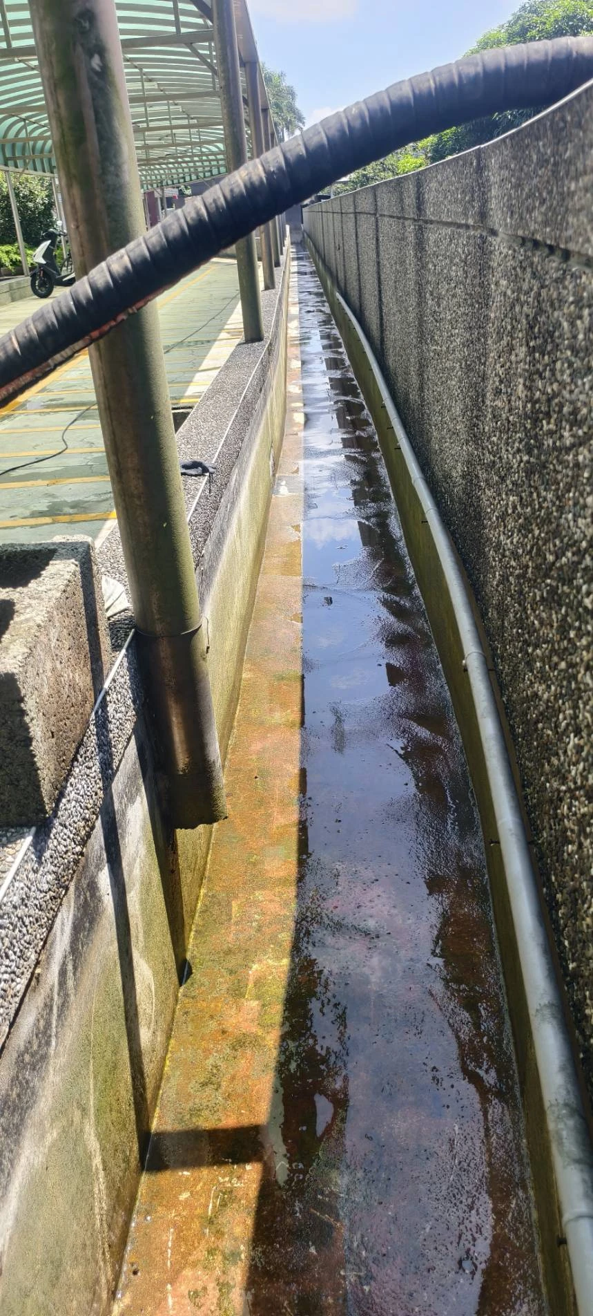 科技廠，風水池，魚池，過濾槽清洗服務